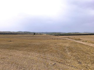 Terreno en venta en Yecla
