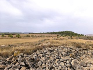 Terreno en venta en Yecla