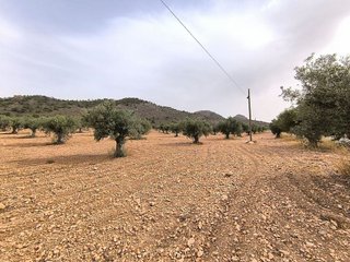 Terreno en venta en Yecla