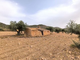 Terreno en venta en Yecla