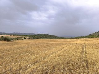 Terreno en venta en Yecla