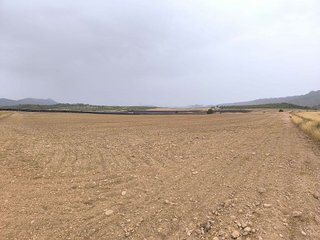 Terreno en venta en Yecla