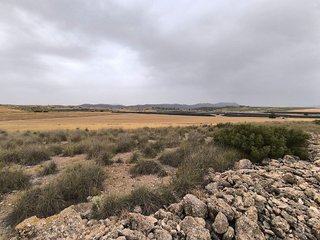 Terreno en venta en Yecla