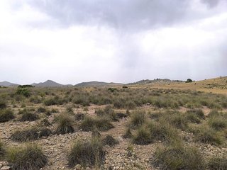 Terreno en venta en Yecla