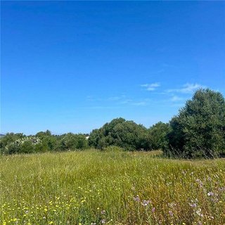 Solar en venta en Manacor Centro en Manacor