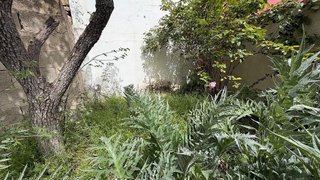 Terreno en venta en Almansa