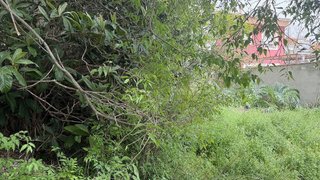 Terreno en venta en Almansa