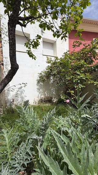 Terreno en venta en Almansa