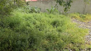 Terreno en venta en Almansa