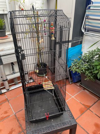 Jaula grande para loros, agapornis, ninfas