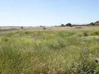 Terreno en venta en Argés