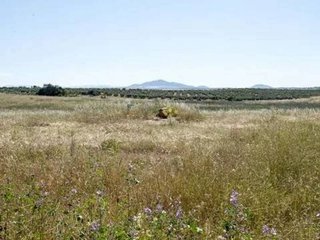 Terreno en venta en Argés