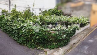 Terreno en venta en Icod de los Vinos en Icod de los Vinos