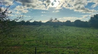 Terreno en venta en Campos