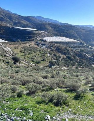 Terreno en venta en Vélez de Benaudalla