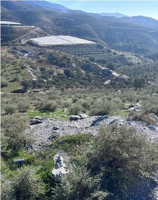 Terreno en venta en Vélez de Benaudalla