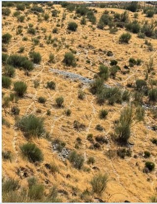Terreno en venta en Vélez de Benaudalla