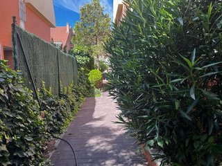 Casa pareada en alquiler en Palomas en Madrid