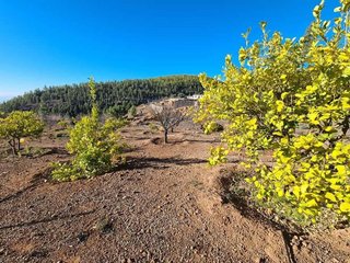 Casa rural en venta en Granadilla de Abona ciudad en Granadilla de Abona