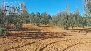 Terreno en venta en Almonte en Almonte