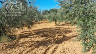 Terreno en venta en Almonte en Almonte
