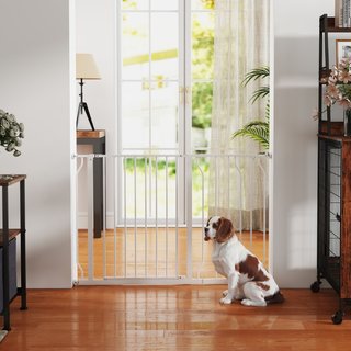Puerta de seguridad para perros de acero y ABS, Ex