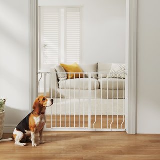Puerta de seguridad para perros de acero y ABS, Ex