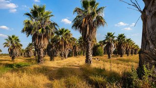 Terreno en venta en Ruta de la Plata en Cáceres