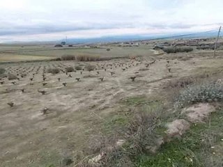 Terreno en venta en El Pinar - La Dehesa - Resto de Navalcarnero en Navalcarnero