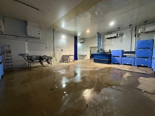 Nave industrial en venta en Pilas