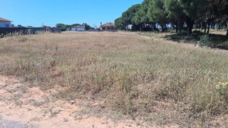 Terreno en venta en Las Lagunas - Campano en Chiclana de la Frontera