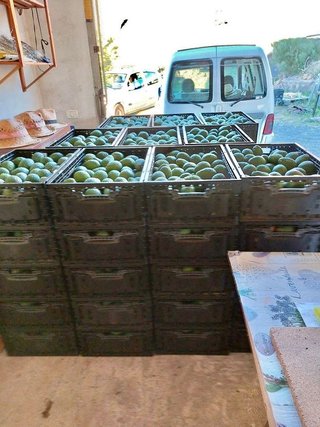 Solar en venta en Villa de Mazo