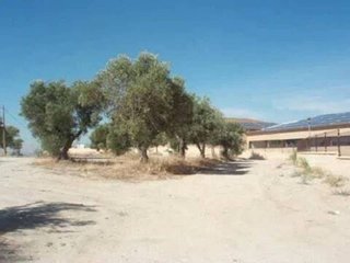 Terreno en venta en Sevilla la Nueva