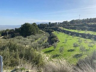 Terreno en venta en Mula
