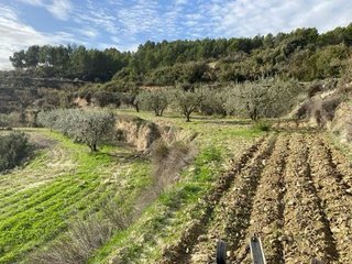 Terreno en venta en Mula