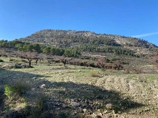 Terreno en venta en Mula