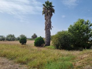 Chalet en venta en Dolores