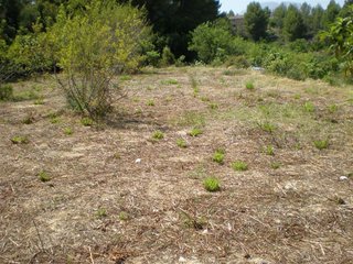 Terreno en venta en Callosa d´En Sarrià