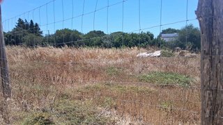 Terreno en venta en Las Lagunas - Campano en Chiclana de la Frontera