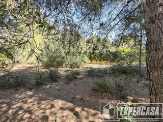 Terreno en venta en Vilamarxant