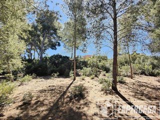 Terreno en venta en Vilamarxant