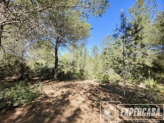 Terreno en venta en Vilamarxant