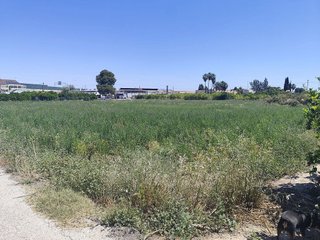 Terreno en venta en Beniaján en Murcia