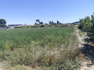 Terreno en venta en Beniaján en Murcia