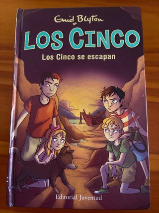 Los Cinco se escapan