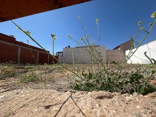 Solar en venta en Tomelloso