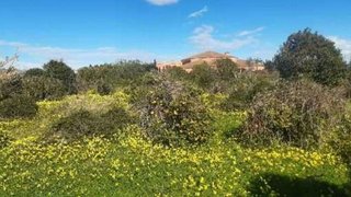 Terreno en venta en Pobla de Farnals (la)