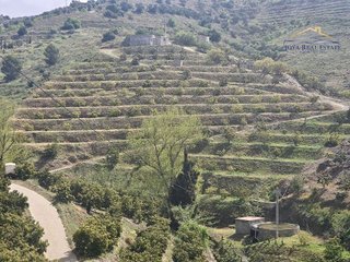 Terreno en venta en Itrabo
