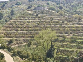 Terreno en venta en Itrabo