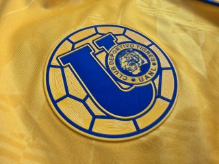 Camiseta Tigres